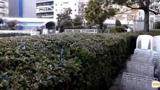 亚洲AV.茶几在线a 日本一区二区在线看_国产在线精品观看一区欧美国产精品不卡在线观看_国产亚洲一区二区手机在线观看